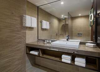 Отель Sheraton Grand Tbilisi Metechi Palace Тбилиси-5