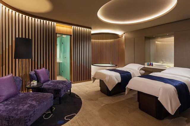 Отель Sheraton Grand Tbilisi Metechi Palace Тбилиси-25